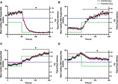 Dynamics of capillary blood flow responses to acute local changes in oxygen and carbon dioxide concentrations